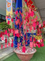 Lễ  Hội Mừng Xuân 2023