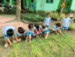 Cùng nhổ cỏ nào!