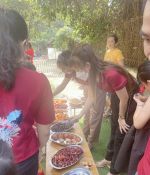 MN An Lập