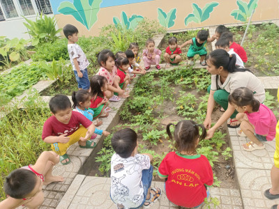 Bé tham quan và chăm sóc vườn rau của trường (2)