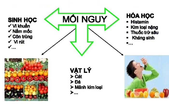 Các Mối Nguy Gây Ô Nhiễm Vào Thực Phẩm